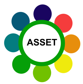 Asset