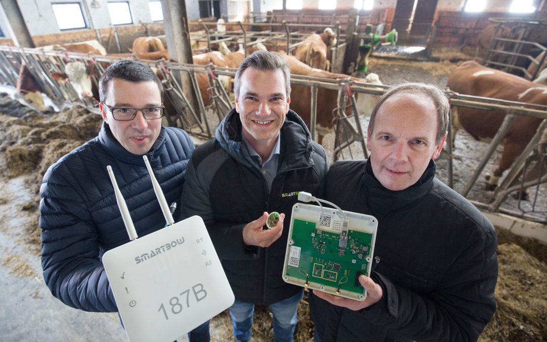 Smartbow & LCM decode ear movements