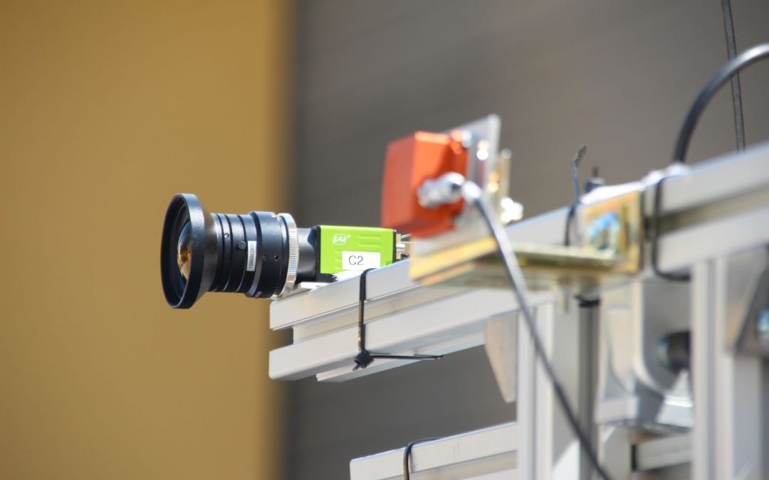 Orientation Estimation in the Woods