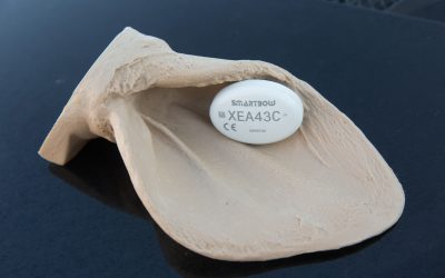 LCM success does not break | LCM and Smartbow for EARTO, european innovation prize, under the TOP 3 nominated