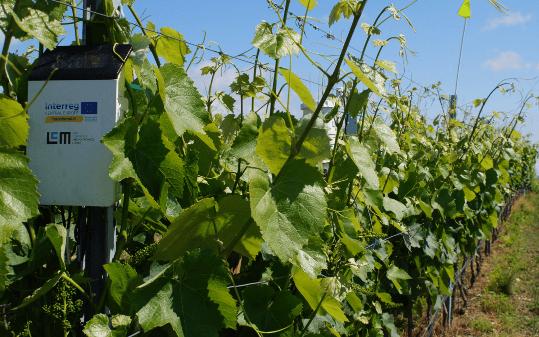 AGRI-DIGITAL GROWTH Projekt gestartet